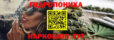 дмт Заволжье