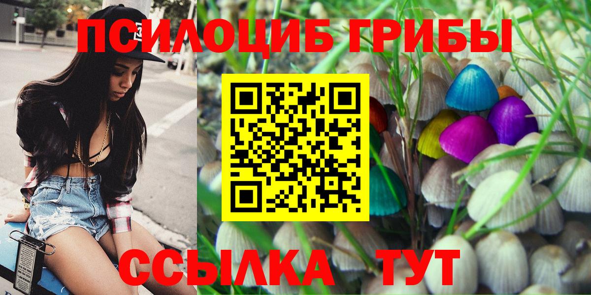 Кулебаки  Псилоцибиновые грибы прущие грибы  Псилоцибиновые грибы MAGIC MUSHROOMS  Вход с VPN 