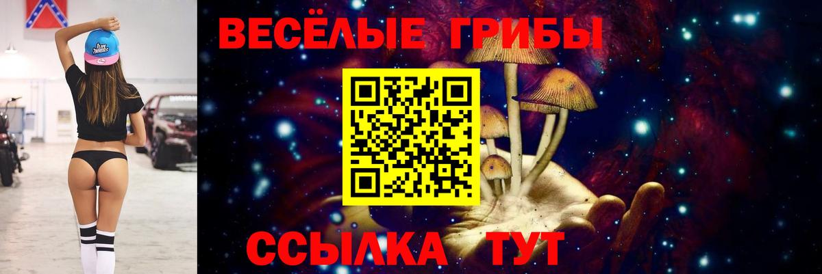 Псилоцибиновые грибы ЛСД Кулебаки